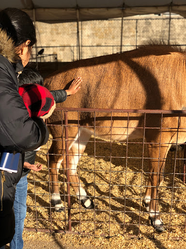 Zoo «Petting Zoo», reviews and photos, 829 E Exchange Ave, Fort Worth, TX 76164, USA