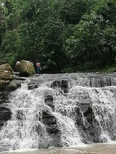 Reserva ecológica Mache-Chindul