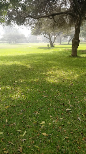 Opiniones de Campo Deportivo 1 de Mayo en Lima - Campo de fútbol