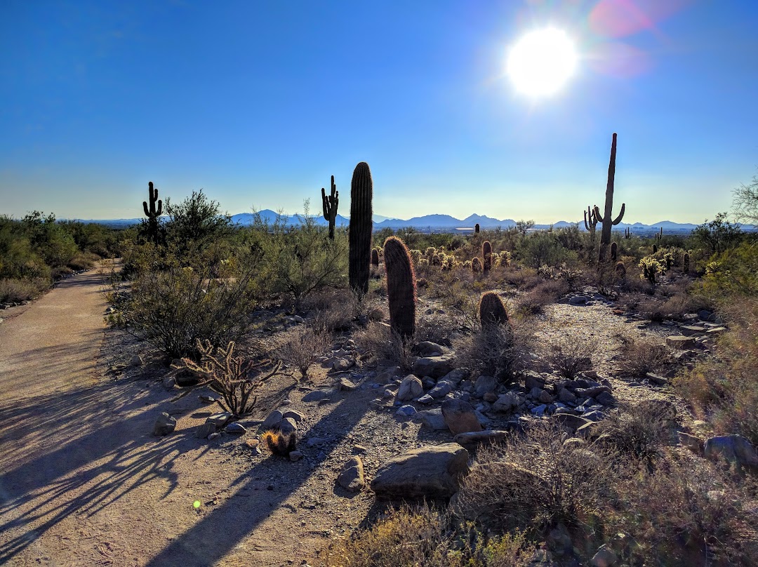 Gateway Trailhead - McDowell Sonoran Preserve