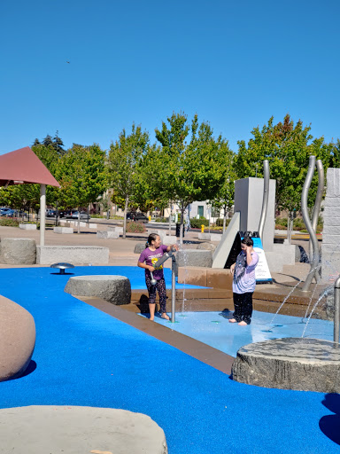 BMX park Hayward