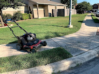 Mowego Lawn Care & Services