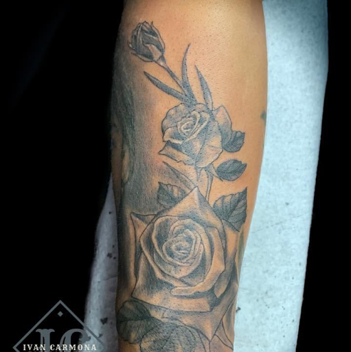 Explore cat and dog tattoo ideas, creative tattoo ideas in Sioux Falls, available at Starry Eyed Studio