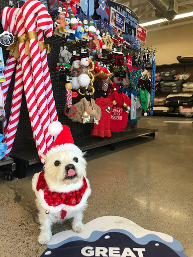 Pet Supply Store «Unleashed by Petco», reviews and photos, 905 W Foothill Blvd, Claremont, CA 91711, USA