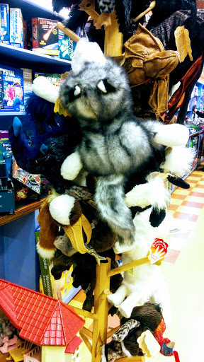 Toy Store «Alakazam Toys & Gifts», reviews and photos, 100 E Main St, Charlottesville, VA 22902, USA