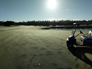 The Ritz-Carlton Members Golf Club - photo 19