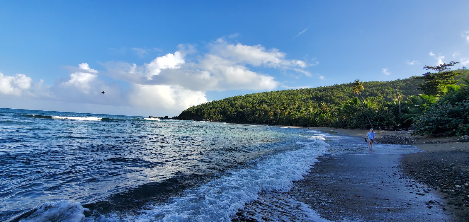 Foto af Hendrik Bay beach med lyst sand & sten overflade