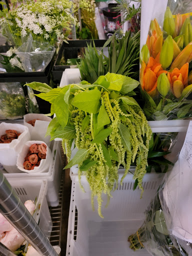 Florist «Botanica Wholesale Florist», reviews and photos, 3208 International Pl, Irving, TX 75062, USA