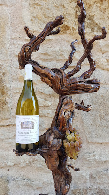 Domaine Maria Cuny à Vézelay