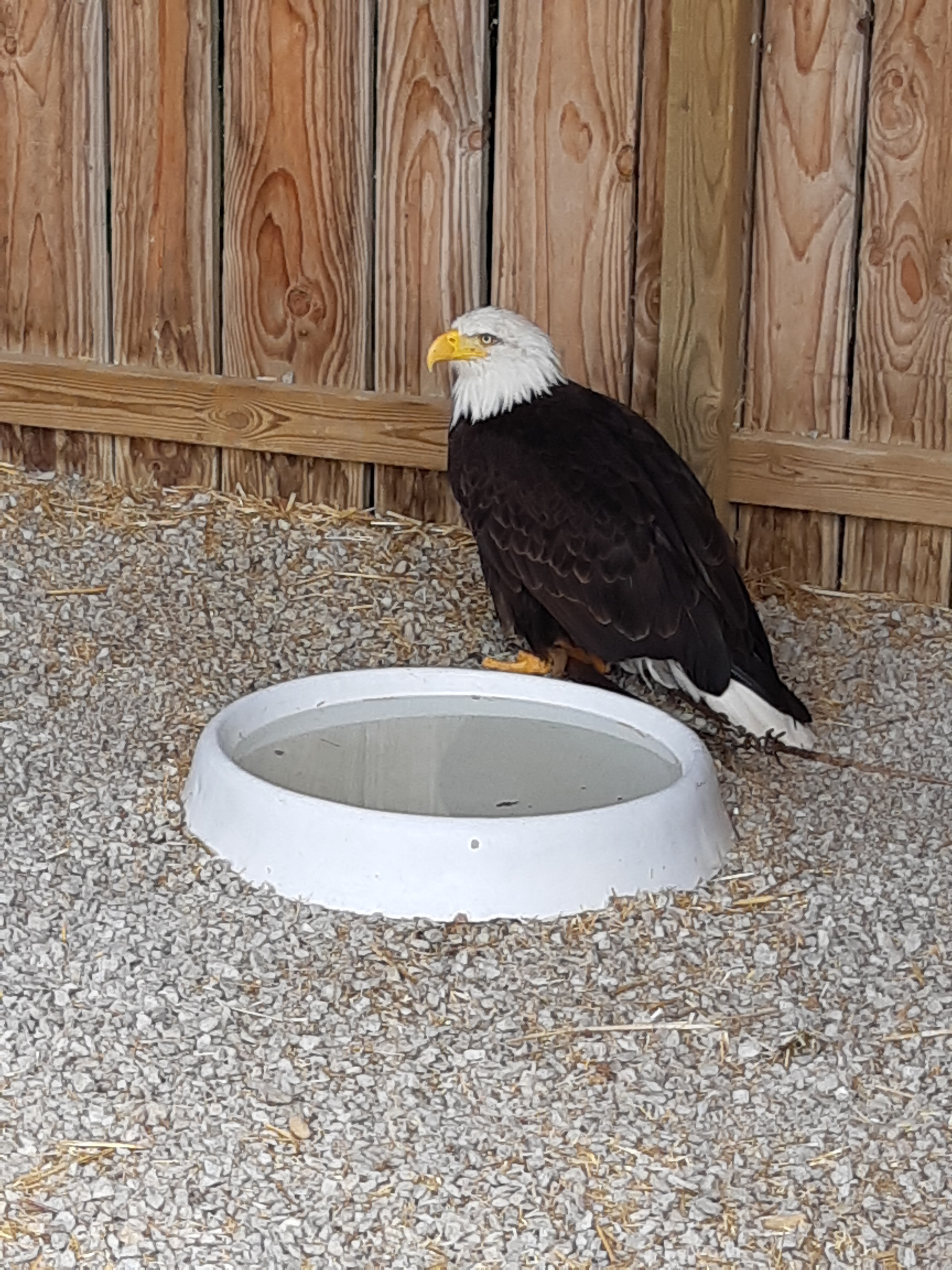 Photo n° 7 de l'avis de Jean-Luc.e fait le 25/07/2019 à 17:52