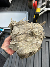 Actiguard Pest Control - Photo 9 - Car repair in Fishkill, NY, Poughkeepsie