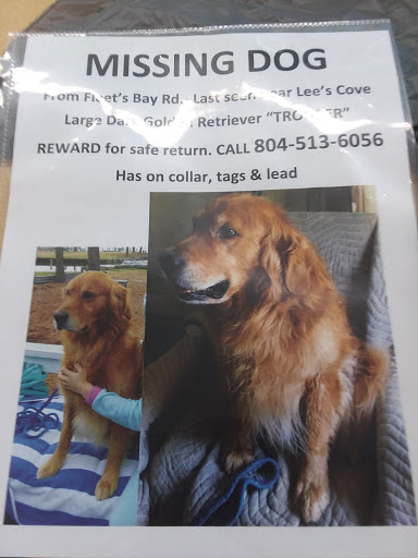 Dollar Store «Dollar Tree», reviews and photos, 100 Old Fair Grounds Way, Kilmarnock, VA 22482, USA