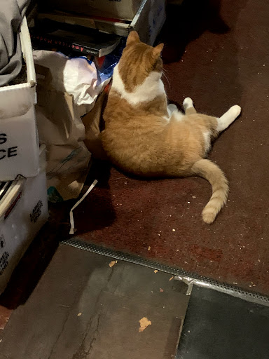 Used Book Store «The Book Trader», reviews and photos, 7 N 2nd St, Philadelphia, PA 19106, USA