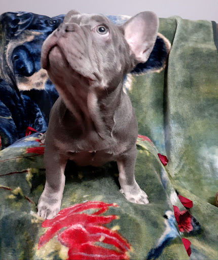 Pet Supply Store «Petco Animal Supplies», reviews and photos, 300 Quaker Ln #3, Warwick, RI 02886, USA