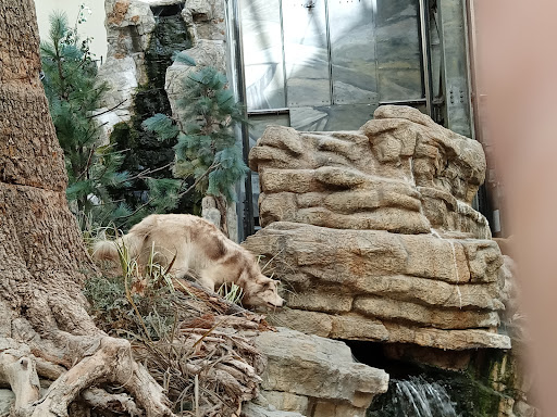 Sporting Goods Store «Bass Pro Shops», reviews and photos, 951 E Lewis and Clark Pkwy, Clarksville, IN 47129, USA