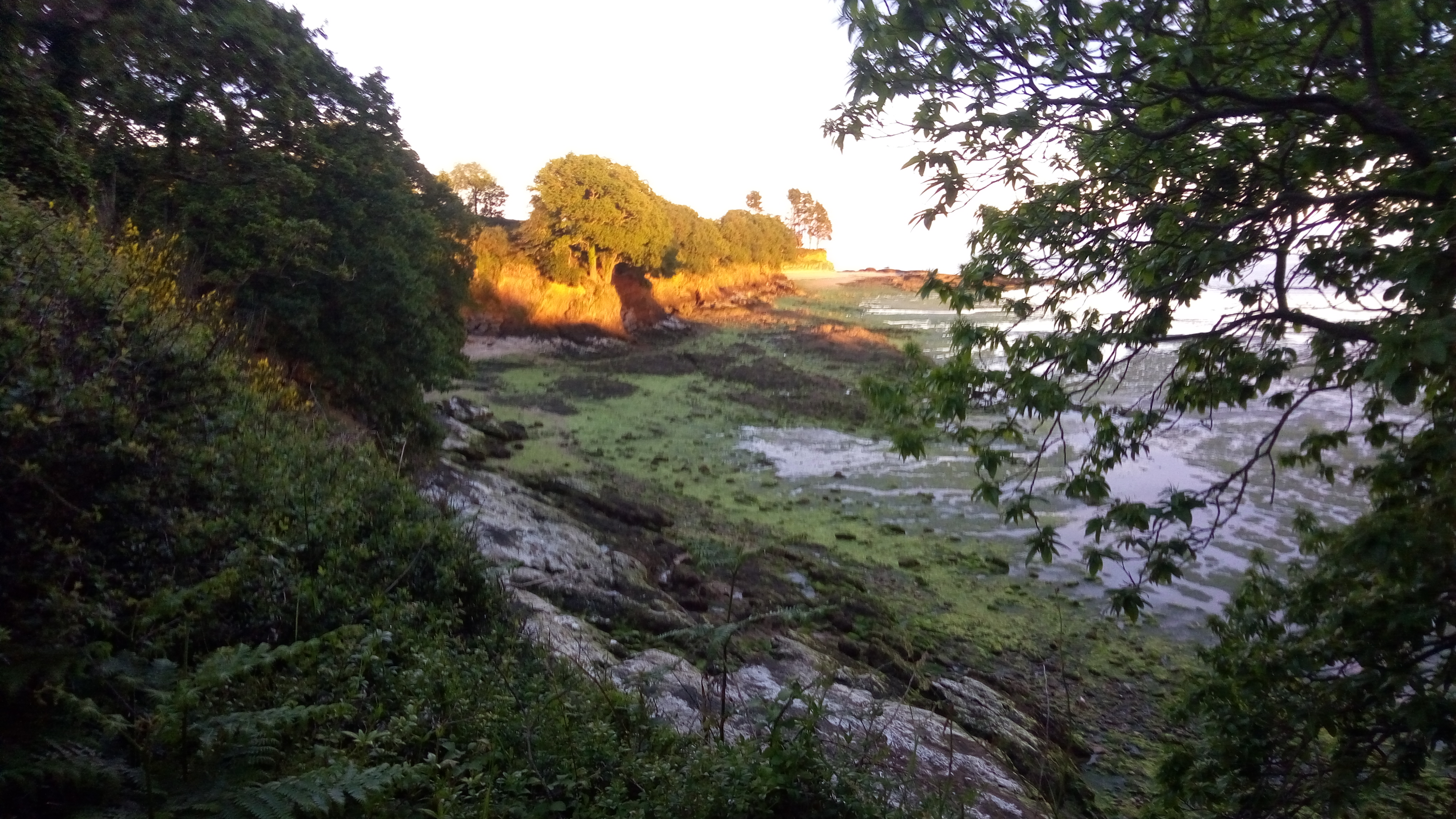 Photo n° 9 de l'avis de Greg.e fait le 02/06/2019 à 09:30