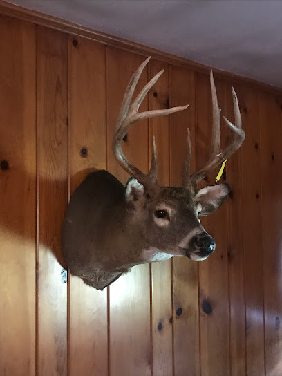 Clevenger's Taxidermy