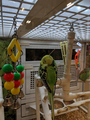 Pet Supply Store «PetSmart», reviews and photos, 1800 Evans Rd, Melbourne, FL 32904, USA