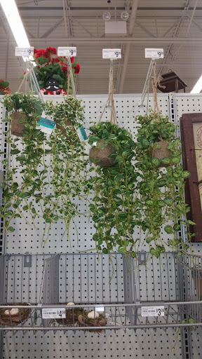 Craft Store «Michaels», reviews and photos, 10075 Crossing Way #620, Denham Springs, LA 70726, USA