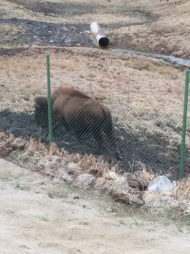 Plumber «Evergreen Septic Pumping», reviews and photos, 322 Quarter Cir Ln, Evergreen, CO 80439, USA