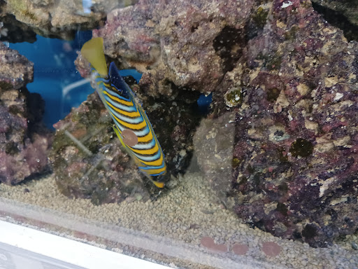 Pet Supply Store «Petco Animal Supplies», reviews and photos, 1175 Ulster Ave, Kingston, NY 12401, USA