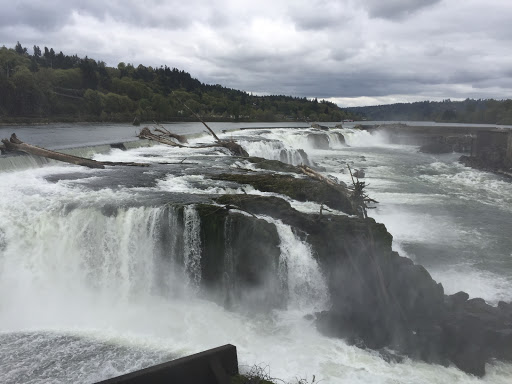 Willamette Falls