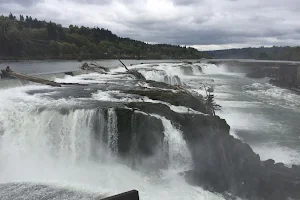 Willamette Falls image