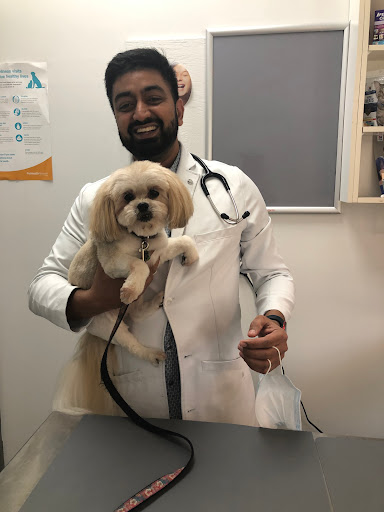 Trout Lake Animal Hospital