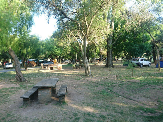 Opiniones de Campamento Las Cañas en Carmelo - Camping