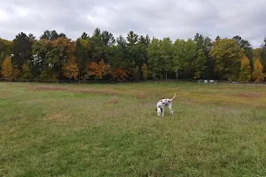 Webster Community Dog Park image