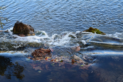 Botanical Garden «Chicago Botanic Garden», reviews and photos, 1000 Lake Cook Rd, Glencoe, IL 60022, USA