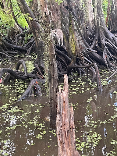 Ghodfrii Custom Printing, 357 Main St, Laurel, MD 20707, USA, 