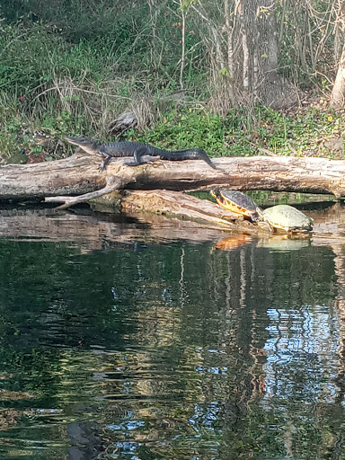 Aquarium «Clearwater Marine Aquarium», reviews and photos, 249 Windward Passage, Clearwater, FL 33767, USA