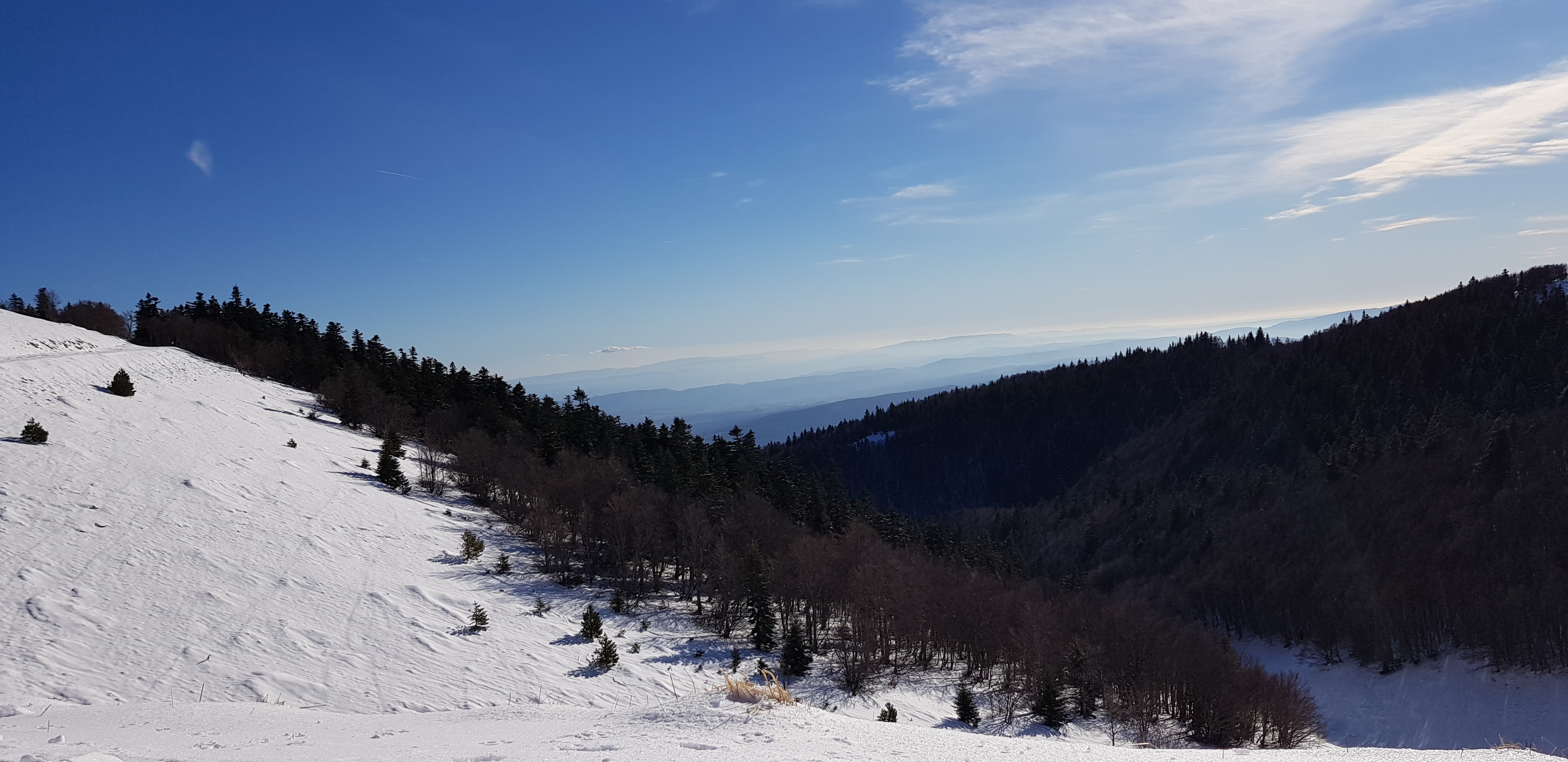 Photo n° 3 de l'avis de Joe.o fait le 04/02/2019 à 22:04