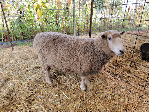 Market «E Z Orchards Farm Market», reviews and photos, 5504 Hazelgreen Rd NE, Salem, OR 97305, USA