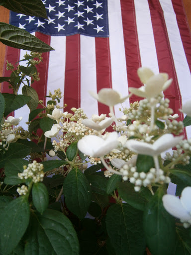 Pet Supply Store «CountryMax - Brockport», reviews and photos, 4875 Lake Rd N, Brockport, NY 14420, USA