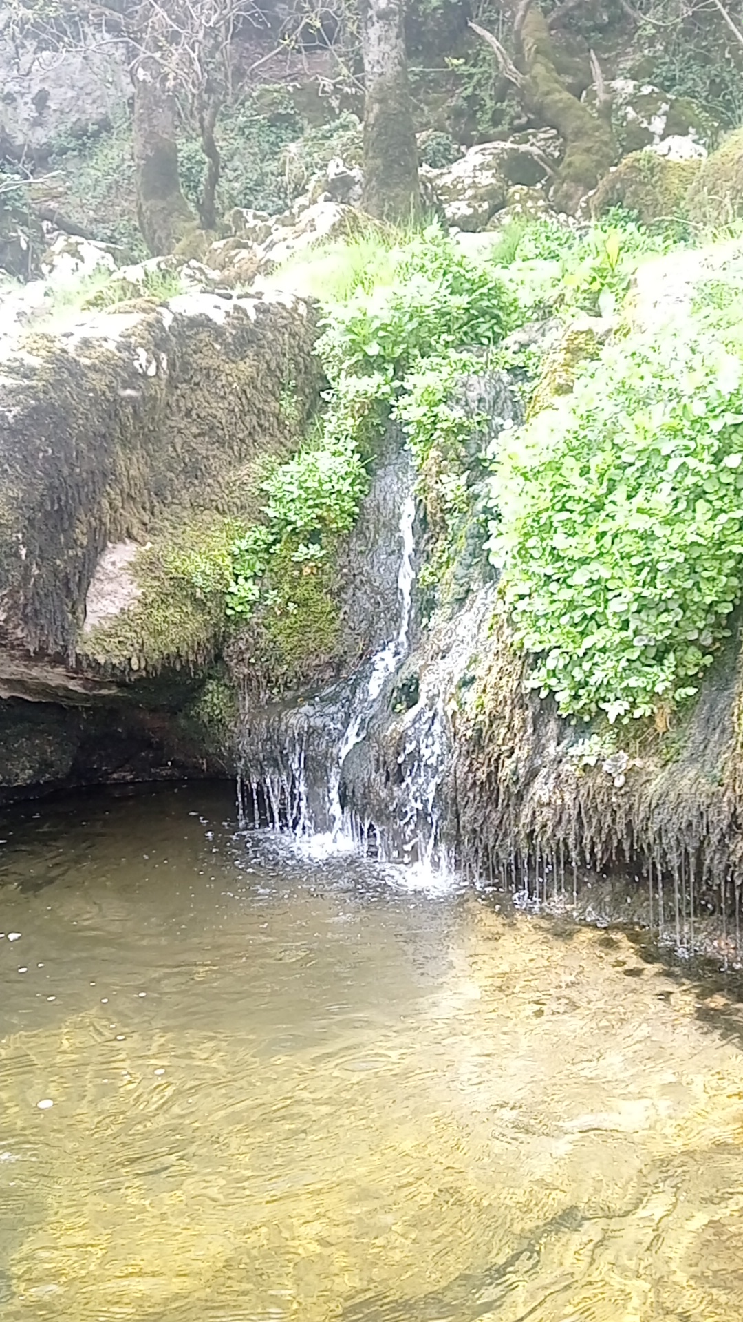 Photo n° 2 de l'avis de La..a fait le 13/04/2022 à 15:02