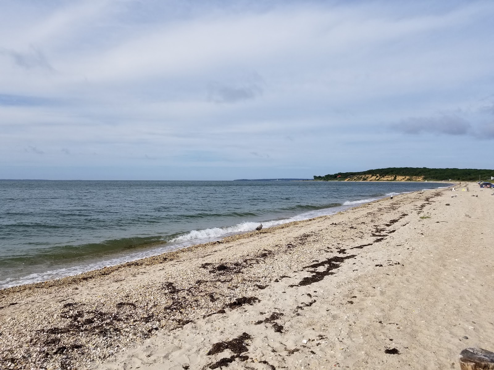 Maidstone Beach的照片 带有宽敞的海湾