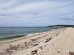 Foto von Maidstone Beach mit etwas sauber Sauberkeitsgrad