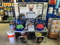 Benjamin Moore Paint - Photo 8 - Car repair in Clearwater, FL, Clearwater