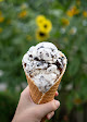 Best Ice Cream Parlours In Virginia Beach Near You