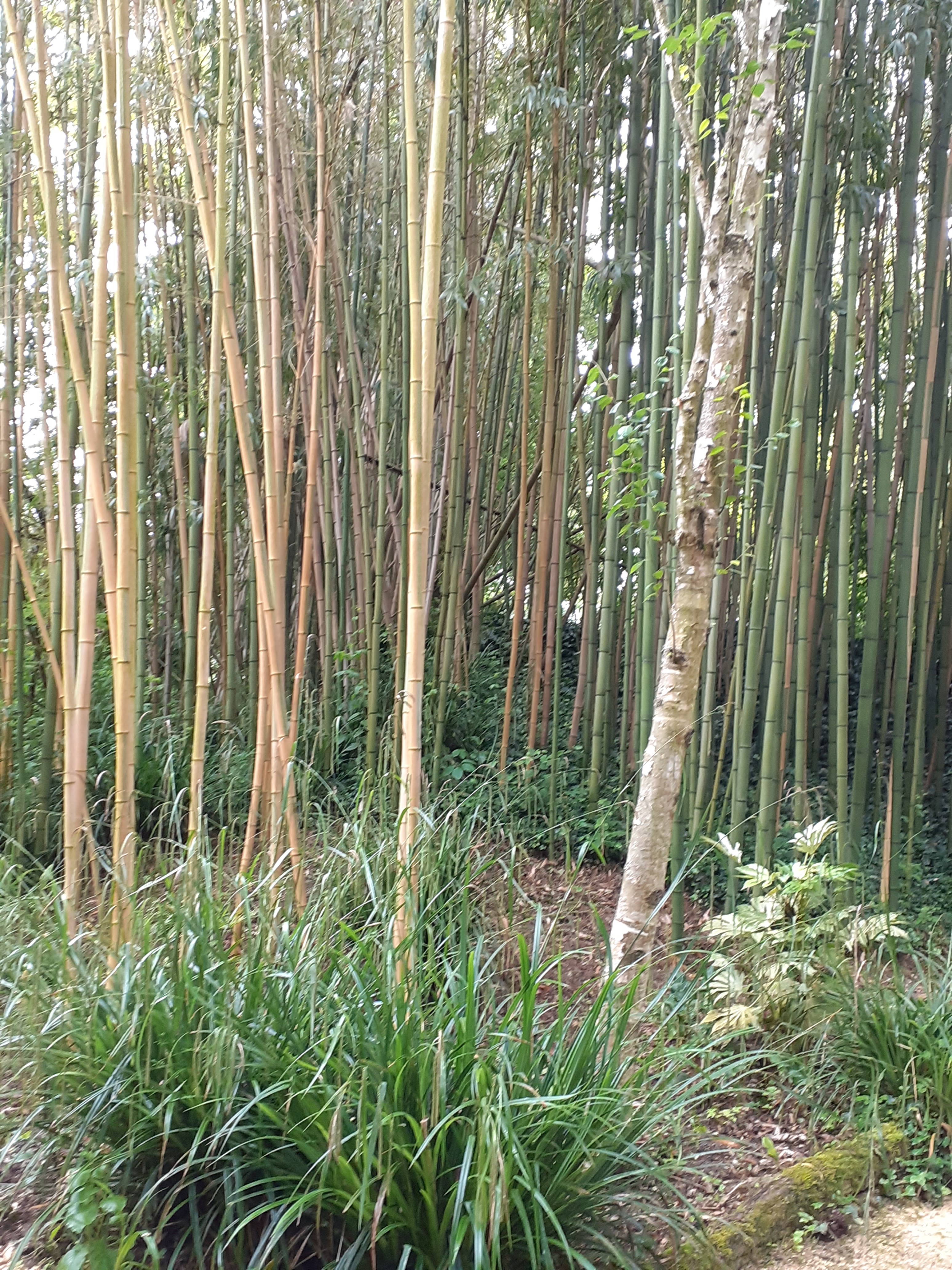 Photo n° 20 de l'avis de Kirenia.e fait le 22/05/2021 à 17:27