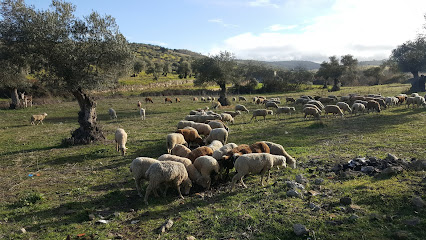 BAR LA PARADA