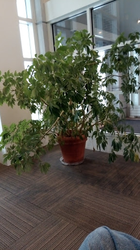 Credit Union «Kalsee Credit Union», reviews and photos