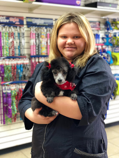 Pet Groomer «Glamour Pet Shop & Grooming», reviews and photos, 11401 Elam Rd, Balch Springs, TX 75180, USA