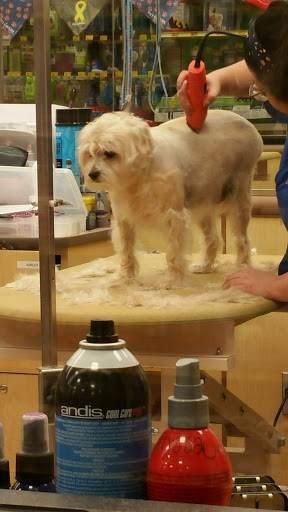 Pet Supply Store «PetSmart», reviews and photos, 5435 W TX-1604 Loop N, San Antonio, TX 78253, USA