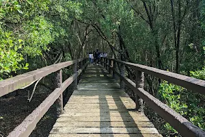 Las Piñas-Parañaque Wetland Park image