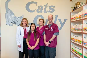 Cats Only Veterinary Hospital image