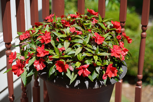 Park «Roswell Area Park», reviews and photos, 10495 Woodstock Rd, Roswell, GA 30075, USA