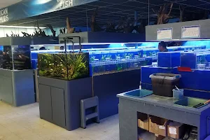 Marine Warehouse Aquarium image